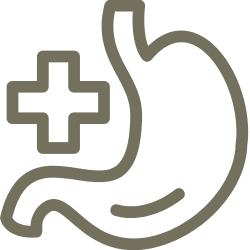 Catégorie digestion