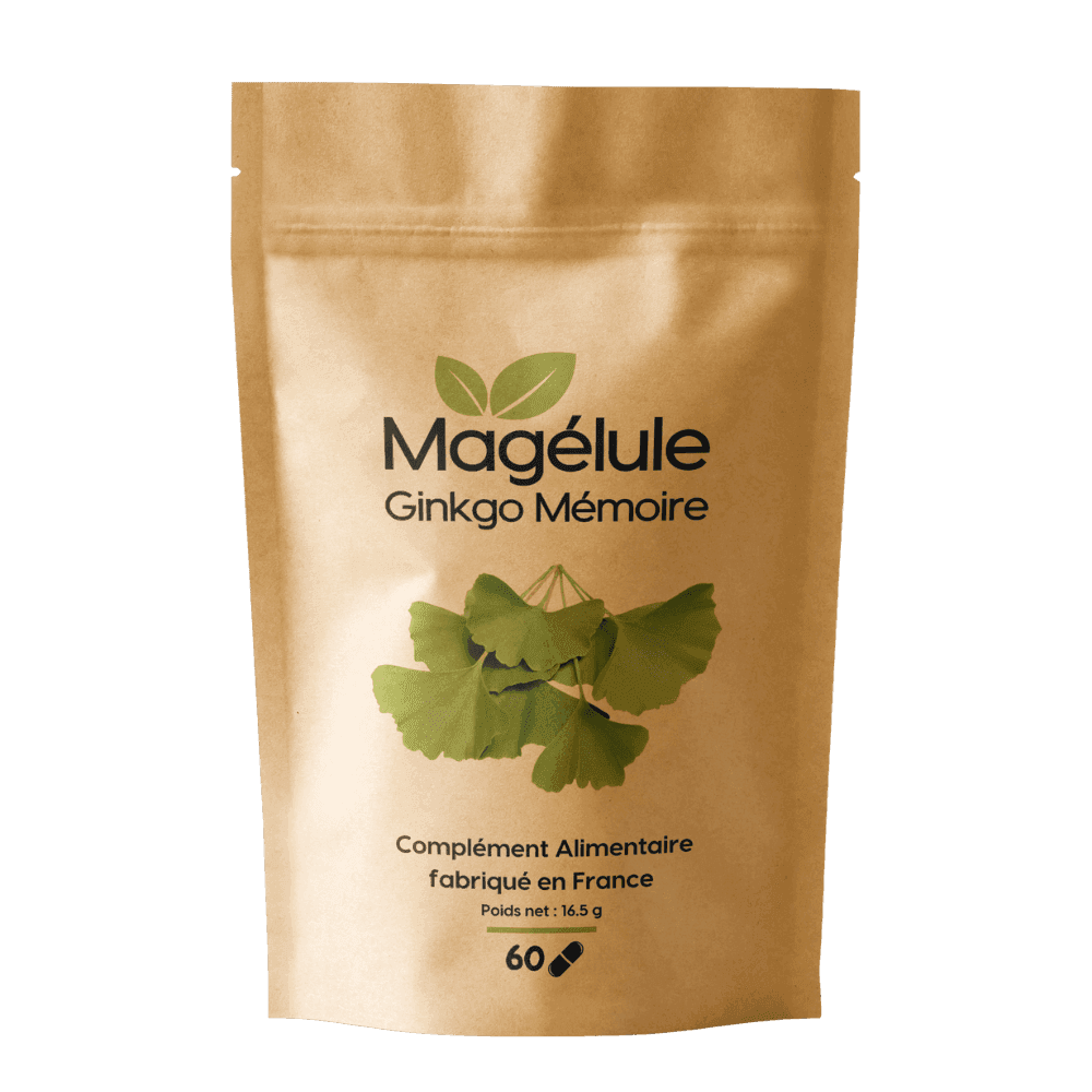 Ginkgo Bio Mémoire