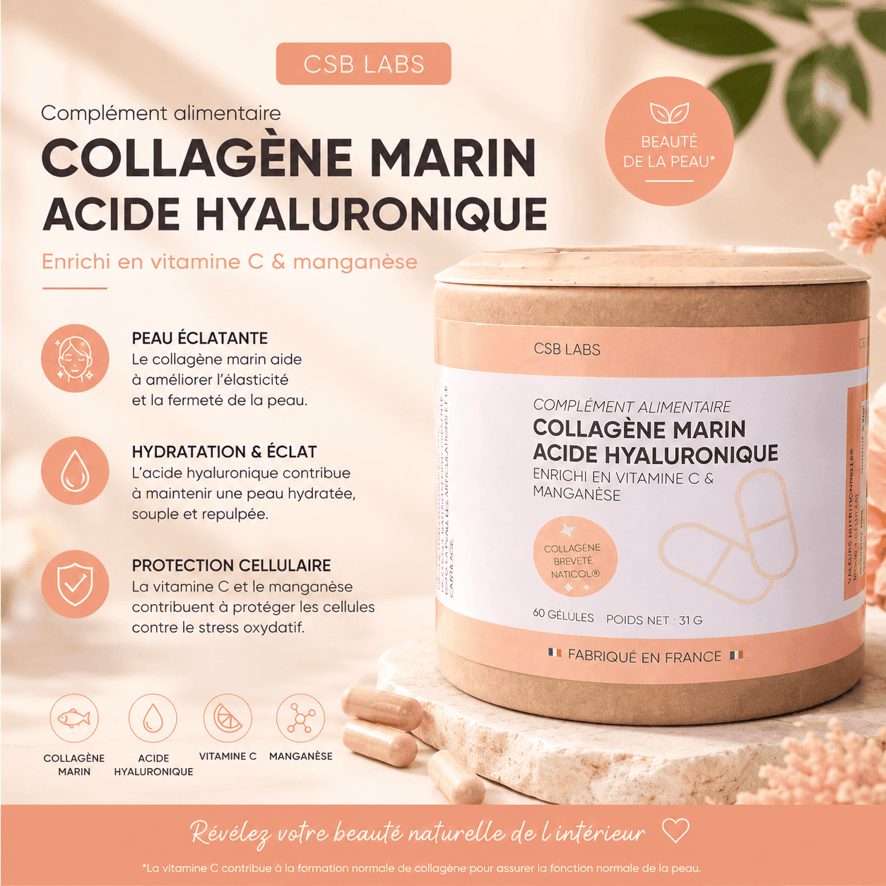 Photo 2 du produit Collagène | CSB LABS